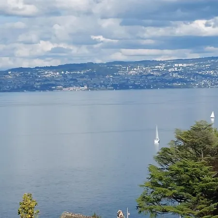 Le Mirabeau Vue Evian-les-Bains