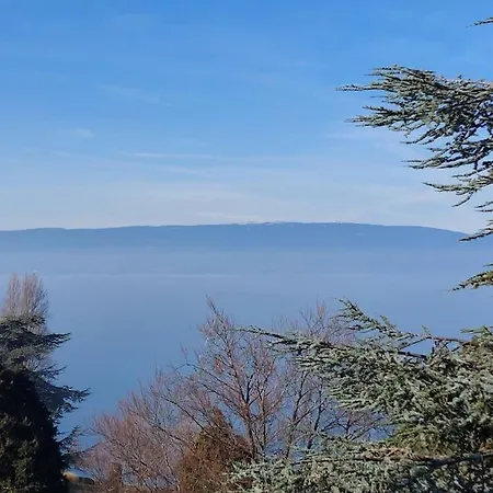 Le Mirabeau Vue