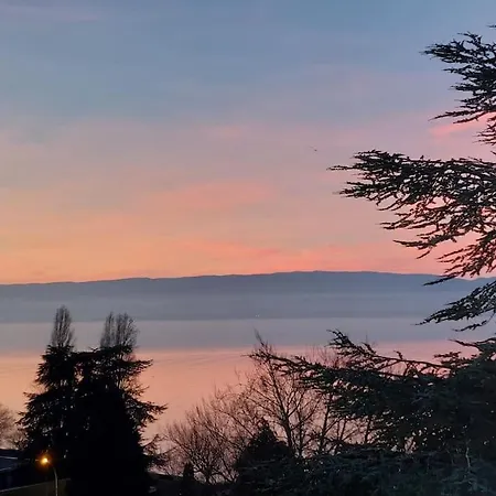 Le Mirabeau Vue * Evian-les-Bains